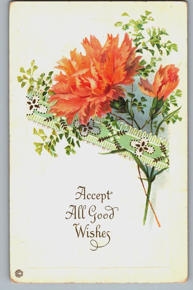 Peach Carnation Flowers ÒAccept all Good WishesÓ c1917 Stegher Embossed Postcard Carnation