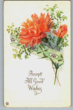 Peach Carnation Flowers ÒAccept all Good WishesÓ c1917 Stegher Embossed Postcard Carnation