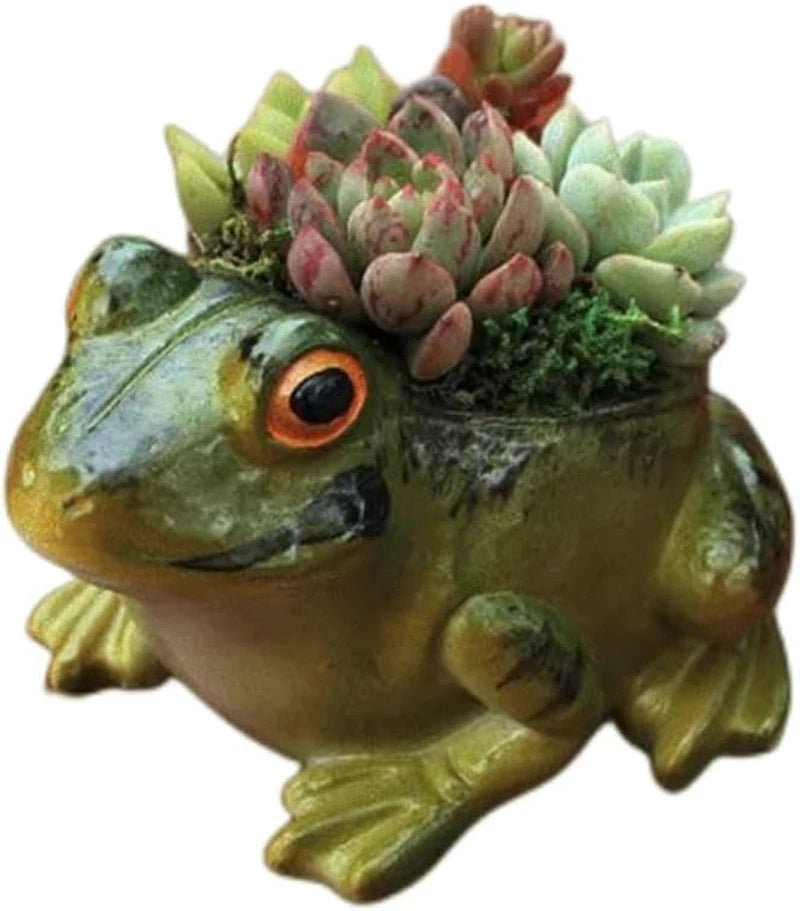 Frog-shaped succulent planter with painted face and small succulents in top