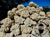 50 lbs Sm/Med/Lg Dry Reef Rock Aragonite Base, Porous, Live, Aquarium Anemone