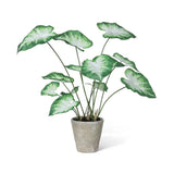 Caladium Plant Potted Artificial Decorative Home Decor Green & White Green Plant