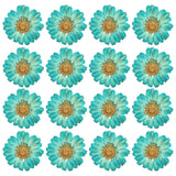 48 Pcs Dried Pressed Flower Natural Dried Daisy Flower,Color Absorbing Blue Daisies