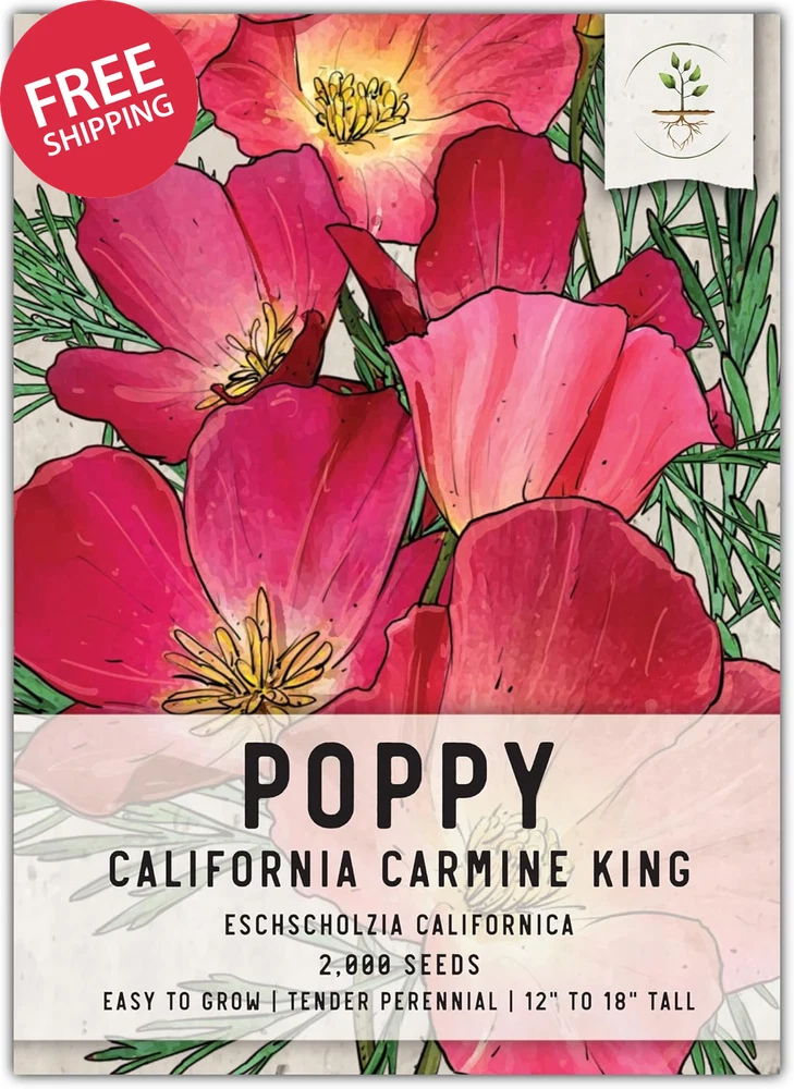 Carmine King California Poppy Seeds 2000 Heirloom Non-GMO Annual Flower Garden Garden Plants