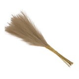 Faux Pampas Grass Fake Pampas Grass Decor, 21"/55cm / Brown / 20 Pcs Pampas Grass