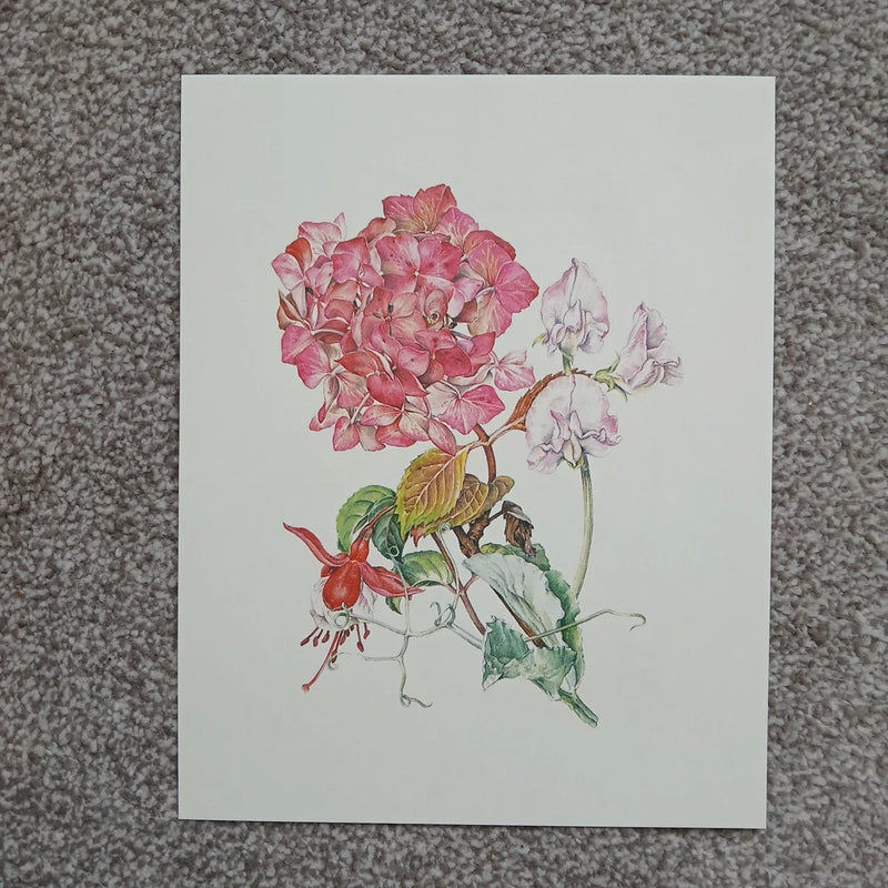 Pink Hydrangea Red Fuchsia Sweet Pea Flower Vintage Book Print Kitchen Wall Art Hydrangea