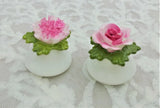 Vintage AYNSLEY English Fine Bone China SALT & PEPPER SET Pink Rose Carnation Carnation