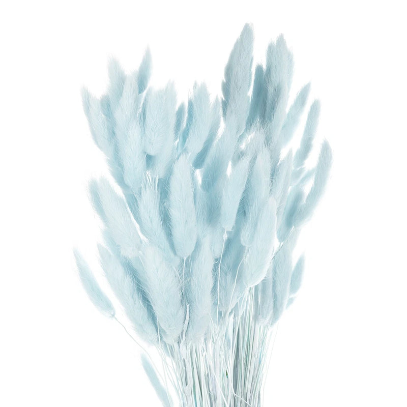 120pcs Natural Bunny Tails Dried Flowers 24" Mini Pampas Grass, Pale Blue Pampas Grass