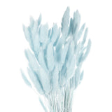 120pcs Natural Bunny Tails Dried Flowers 24" Mini Pampas Grass, Pale Blue Pampas Grass