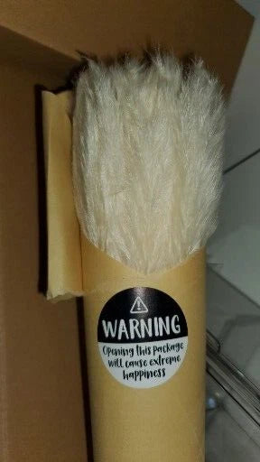 40 Pack GlamStems White Dried Pampas Grass Decor 17in Pampas Grass NEW! Pampas Grass
