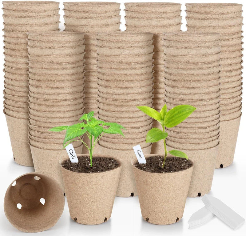 Biodegradable peat plant pots set with drainage holes and plant labels, with seedlings