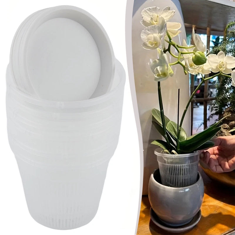 Transparent plant pot with ribbed sides and matching saucer