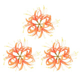 Artificial Flower Heads (7 Inch, Orange) 3 PCS - Spider Lily Silk Flowers Lily