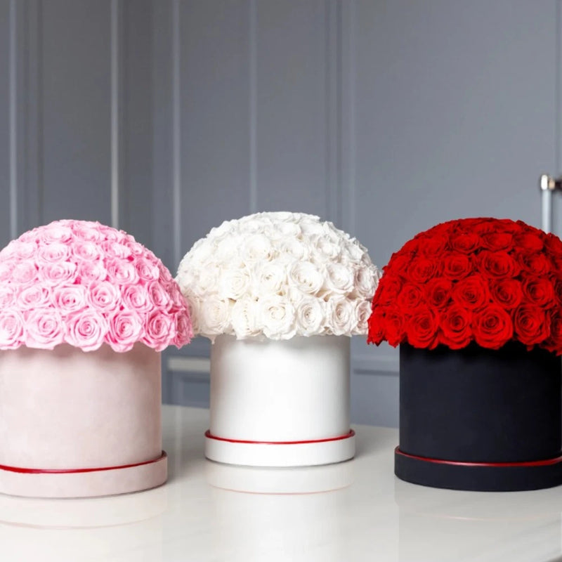 Dome rose centerpiece with pink, white, and red roses in round boxes