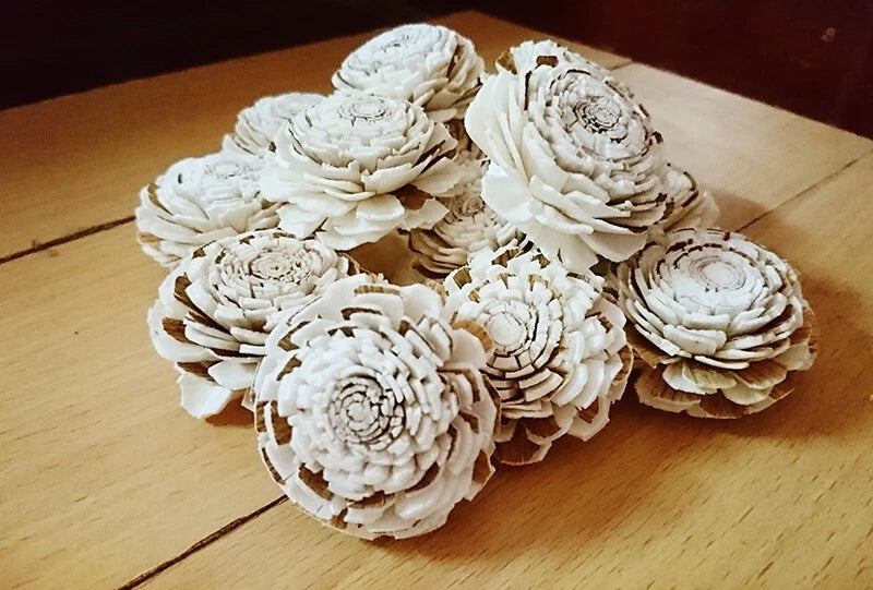 White sola wood carnation flower diffuser cluster, curled petals