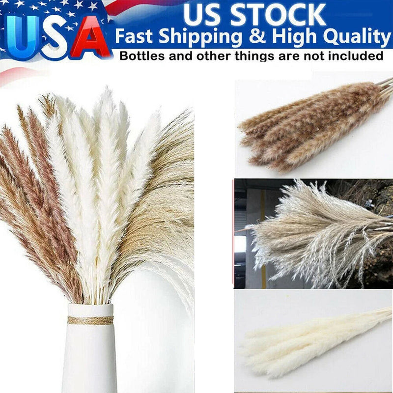 60PCS Pampas Grass Natural Dried Wedding Decor Reed Flower Bunch Bouquets Home Pampas Grass