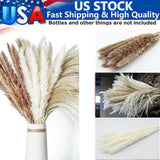60PCS Pampas Grass Natural Dried Wedding Decor Reed Flower Bunch Bouquets Home Pampas Grass