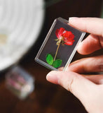 Resin Specimen Decoration Home Office Teaching Red Rose Dried Flower Paperweight Dried Flower
