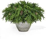 6 Pcs Christmas Greenery Stems Soft Bendable Naturally Droop Real - NO PINECONES Green Plant