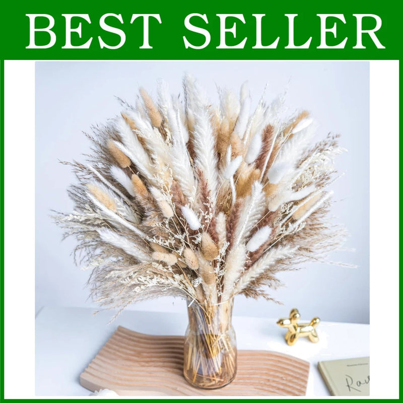 Ethically Sourced Natural Pampas Grass Bundle Pampas Grass