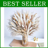 Ethically Sourced Natural Pampas Grass Bundle Pampas Grass