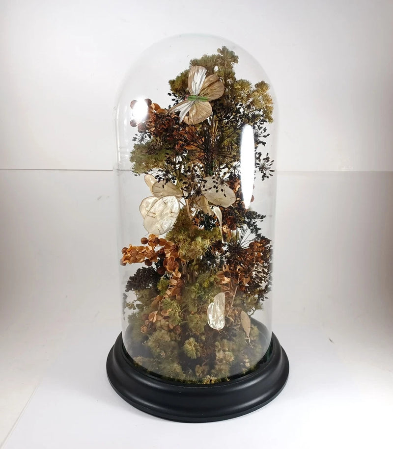 Glass dome cloche with dried flower arrangement and butterfly on dark base