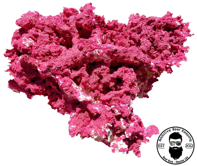 ARK Magenta Dry Reef Rock Aragonite Base, Porous Aquariums Live Anemone