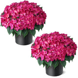 Artificial Hydrangea Flower Topiary Trees - 2 Sets Faux Silk Flower Potted Pl Hydrangea