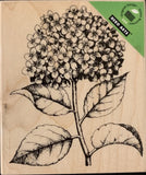 Hero Arts Hydrangea Rubber Stamp Hydrangea