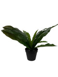 New IKEA FEJKA Artificial Potted Plant Crocodile Fern 12 cm (4 _ ") 406.008.73 Green Plant