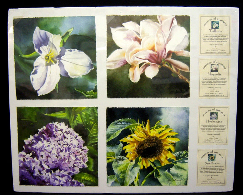 Linda Baker SEASONS OF SUMMER Ltd. Edn. Hydrangea Magnolia Sunflower Signed COA Sunflower
