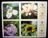 Linda Baker SEASONS OF SUMMER Ltd. Edn. Hydrangea Magnolia Sunflower Signed COA Sunflower