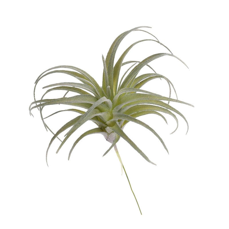 Light green artificial succulent grass plant with spiky leaves, 5 in