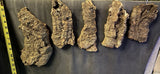 5 Cork Bark Mounts for ochids Orchids