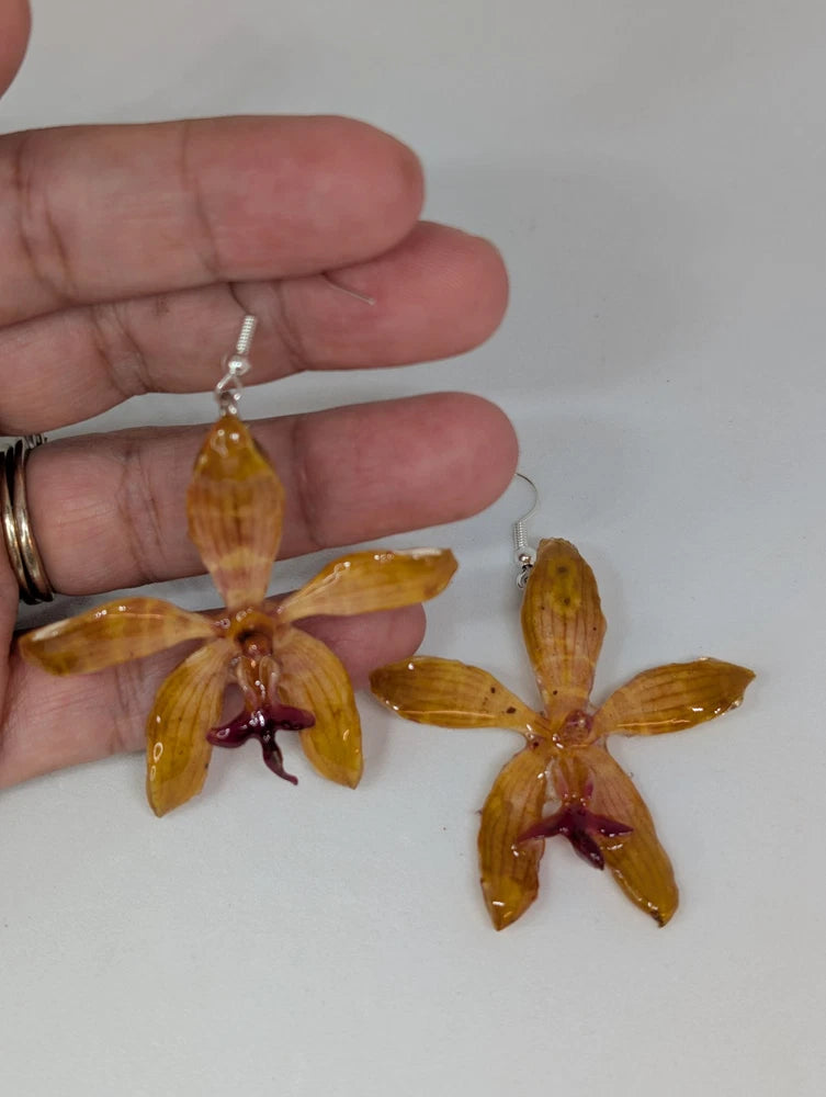 Medium Yellow Tiger Cattleya Orchid in Resin Orchids
