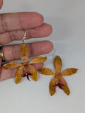 Medium Yellow Tiger Cattleya Orchid in Resin Orchids