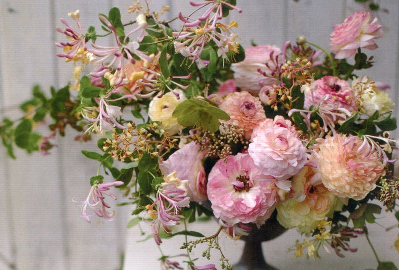 Honeysuckle & Ranunculus Infused Compote, 2019 --New POSTCARD Ranunculus
