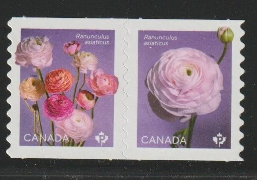 Canada #3374iii, Ranunculus, Flowers, Se-tenant Pair, Die Cut Coils, MNH 2023 Ranunculus