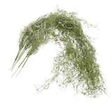 6 Pcs Artificial Vine Decoration Plants Indoor Hanging Moss Faux Living Wall Green Plant