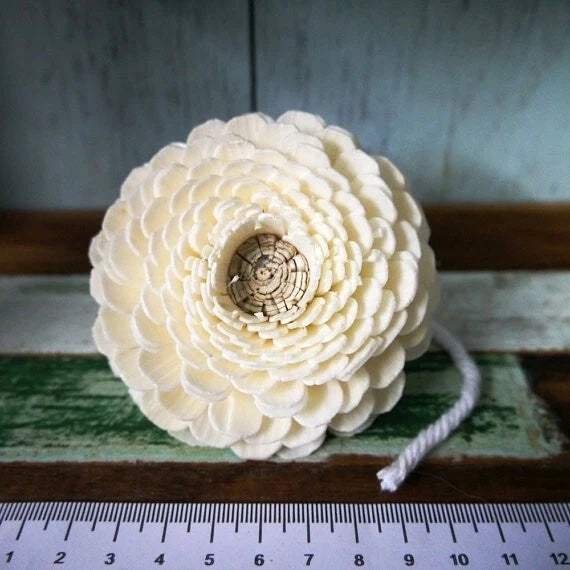 9 Zinnia Sola Wood Diffuser Flowers 8 cm Dia. with Cotton Rope. for Decorate Carnation