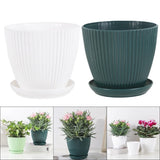 Flower Pots Dark Green Shelf Garden Plants Nursery Cup Number Of Pieces Garden Plants