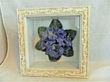 SHADOW BOX W/ARTIFICIAL PURPLE HYDRANGEA FLOWER SEALED INSIDE APPROX. 9X9 SQUARE Hydrangea