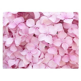 Pink Hydrangea Floral Pattern Flower Love Kitchen Glass Cutting Board Decorat... Hydrangea
