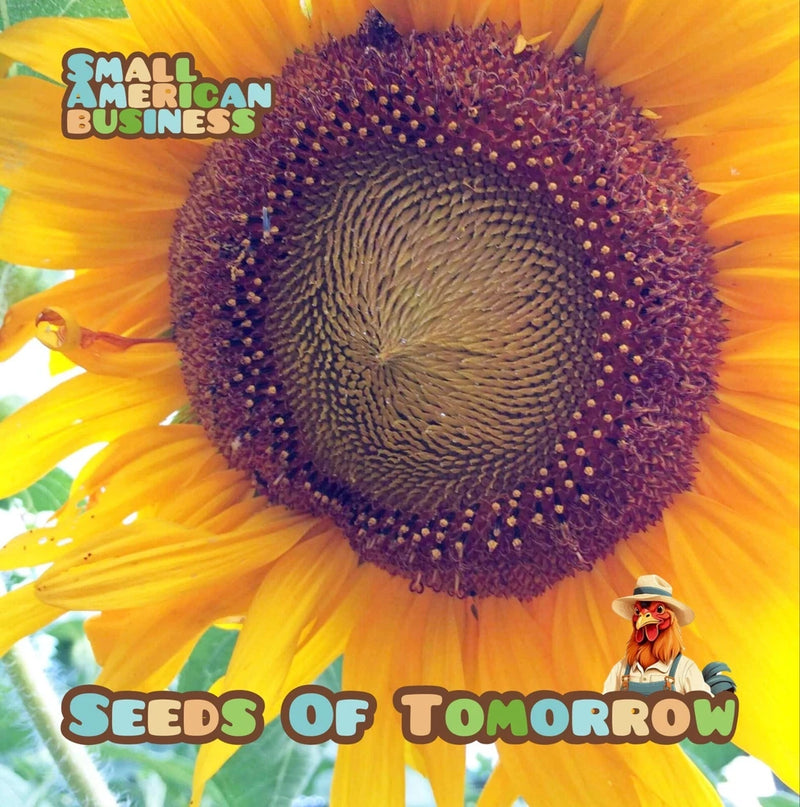 50  Mammoth Russian Sunflower seeds- With Bonus! | Organic Non-GMO Heirloom Sunflower