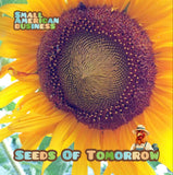 50  Mammoth Russian Sunflower seeds- With Bonus! | Organic Non-GMO Heirloom Sunflower