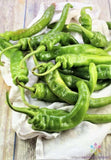 25+ Italian Long Hots Hot Pepper Seeds for Garden - USA - FREE SHIPPING! Garden Plants