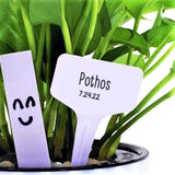 White T-Shaped Plant Labels |Garden Row Marker Seed Stake Food Tag Reusable 2025 Garden Plants