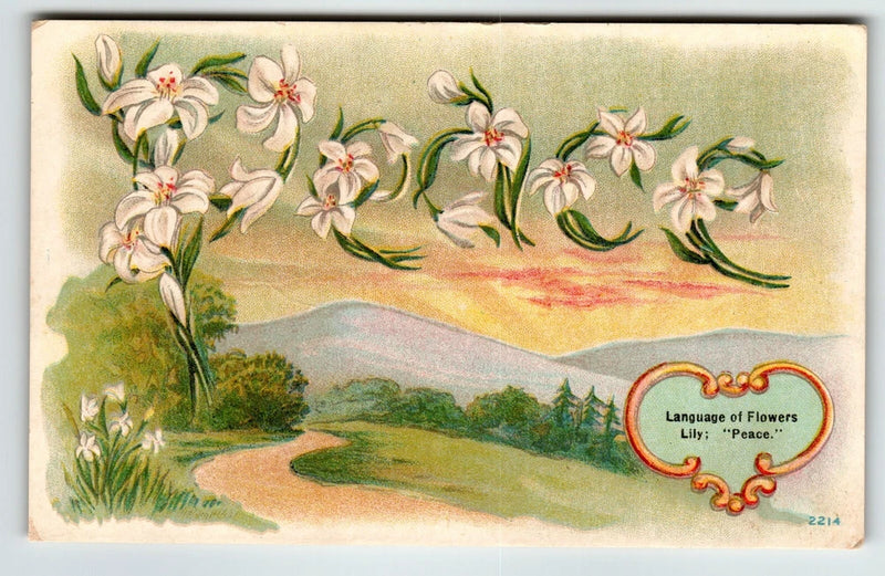 Lily Flowers Peace Postcard The Household Journal Magazine Unused Vintage 2214 Lily