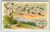 Lily Flowers Peace Postcard The Household Journal Magazine Unused Vintage 2214 Lily