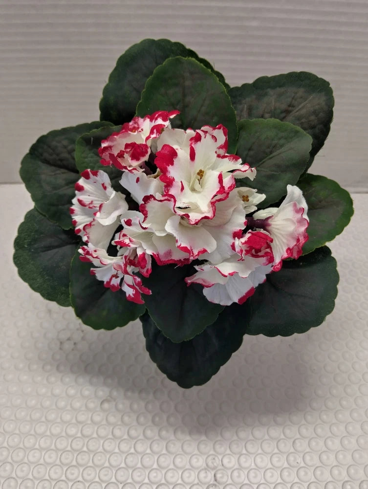 8" ARTIFICIAL semi-miniature African violet (cherry chips) Flowering Plants