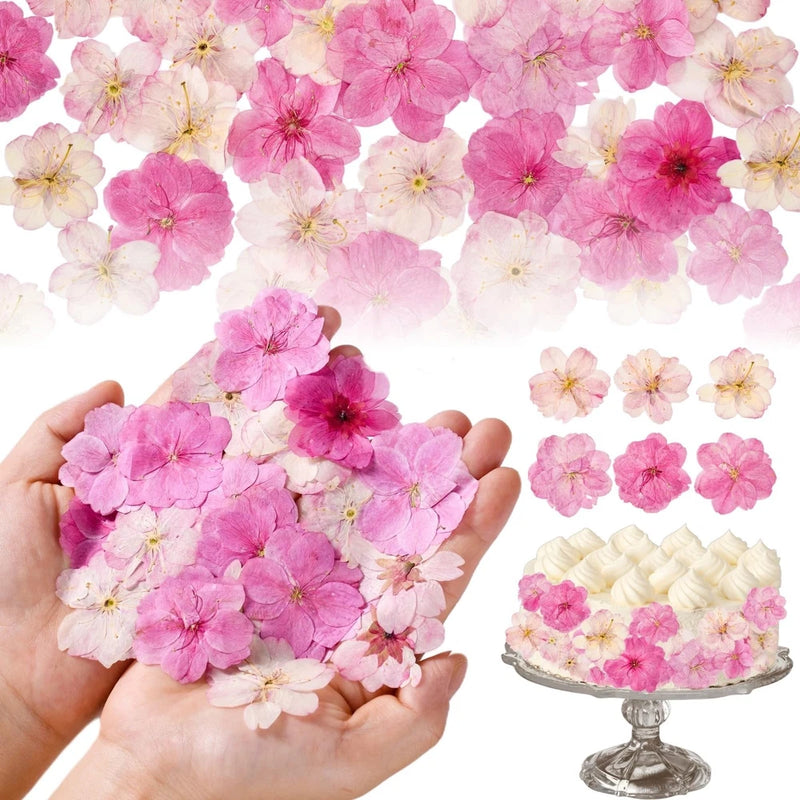 40 Pcs 2 Kinds Natural Pressed Dried Edible Flowers for Cake Topper Pink Dried Flower